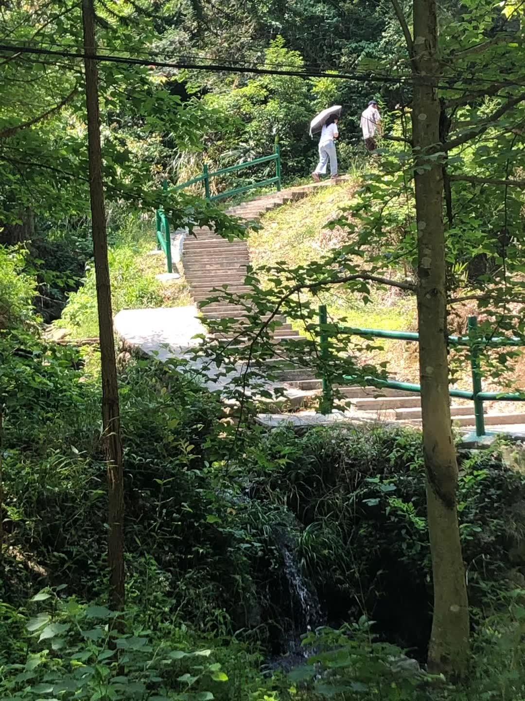 安徽公务员公安报考条件