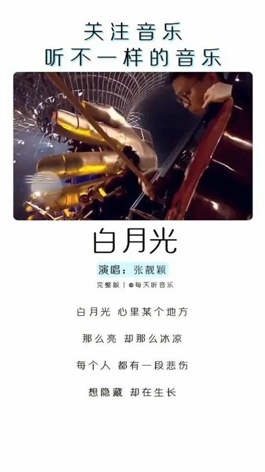 白月光djmp3下载